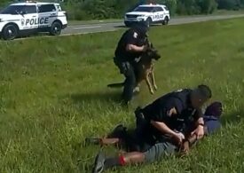 Unarmed truck driver attacked by police dog after surrendering to officers in Ohio