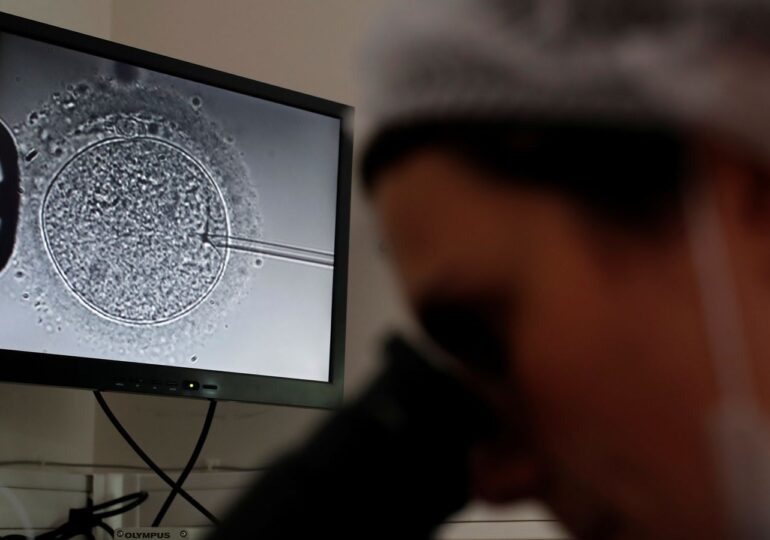 Alabama clinic suspends IVF treatment after court rules embryos are babies